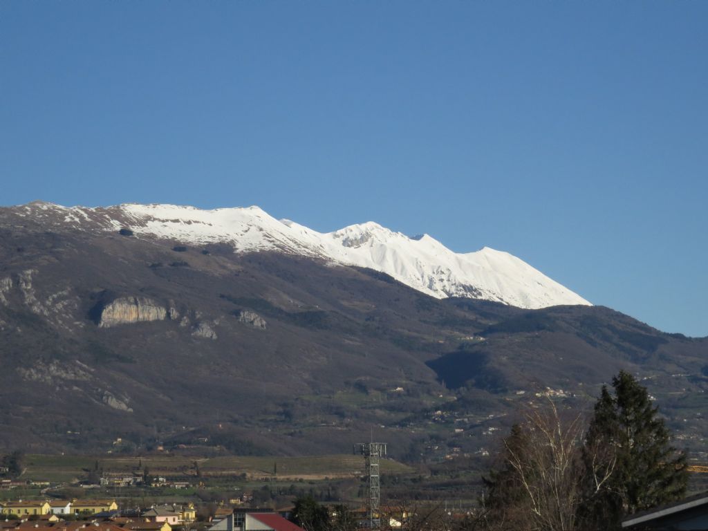 Monte Baldo - Licea parasitica